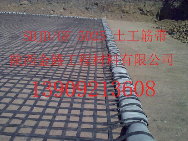 SBJD/GF 5025土工筋带 铺设图
